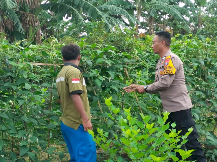 POLRESTA SIDOARJO | Bhabinkamtibmas di Wilayah Kecamatan Taman Masifkan Ketahanan Pangan Tingkat Desa